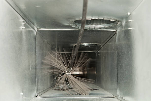 Best Affordable Duct Cleaning Services  in Grapeland, TX
