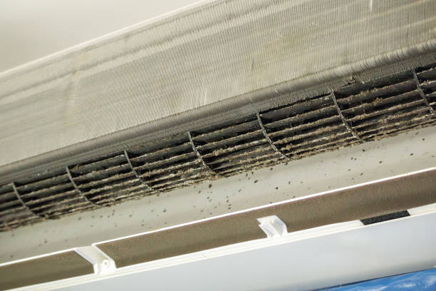 Best Best Air Duct Cleaning Company  in Grapeland, TX