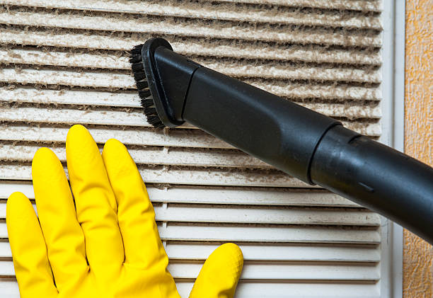 Best Local Air Duct Cleaning Services  in Grapeland, TX